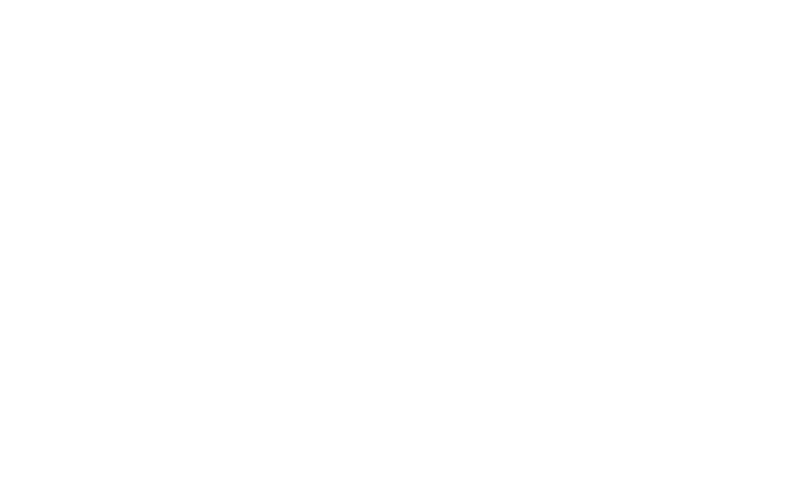 Megapari statistics: clicks, conversions and earnings